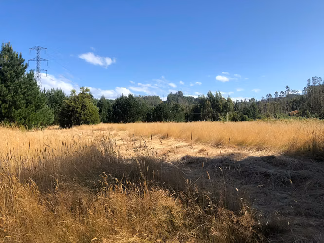 Venta terrenos con orilla de rio - Imagen 5