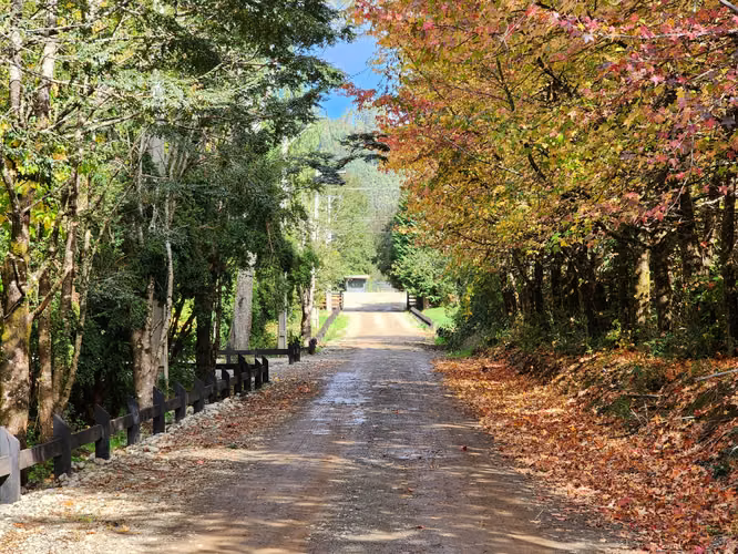 Venta terrenos con orilla de rio - Imagen 2