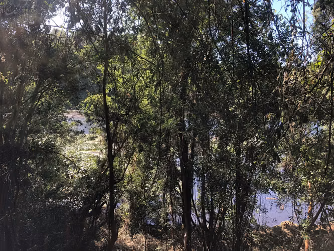 Venta terrenos con orilla de rio - Imagen 15