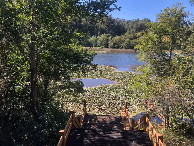 Venta terrenos con orilla de rio - Imagen 19