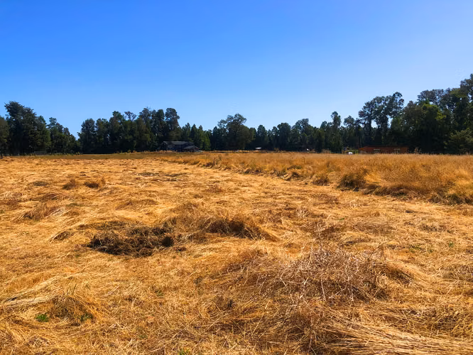 Exclusivo terreno en El Remanso 5 minutos entrada norte de Valdivia - Imagen 21