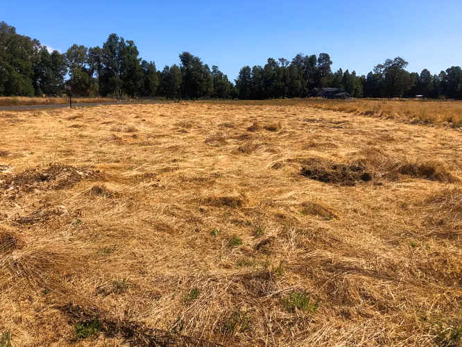 Exclusivo terreno en El Remanso 5 minutos entrada norte de Valdivia - Imagen 18