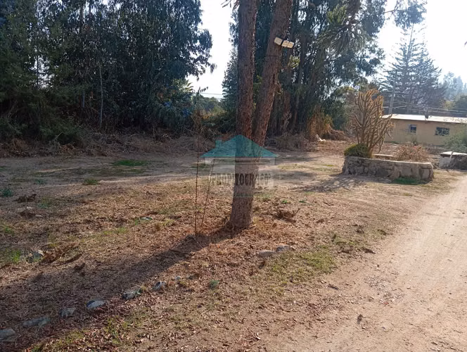 EXCELENTE INVERSIÓN TURÍSTICA EN OLMUÉ Y SUS ALREDEDORES