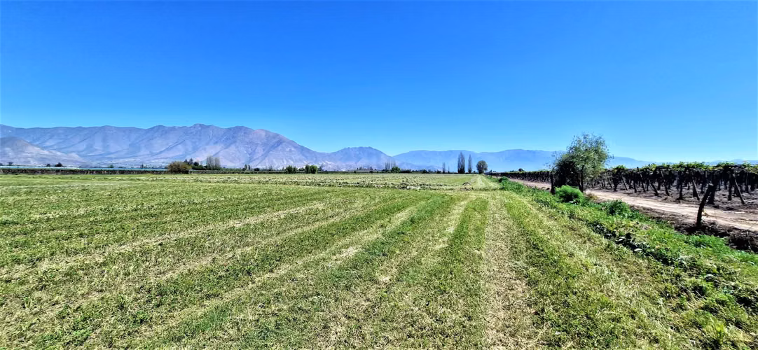 En venta parcela en San Rafael, San Felipe, 75.600 m2., en producción. 483 M$