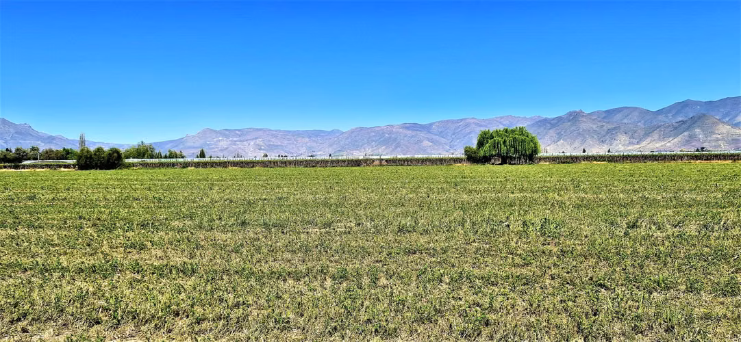 En venta parcela en San Rafael, San Felipe, 75.600 m2., en producción. 483 M$