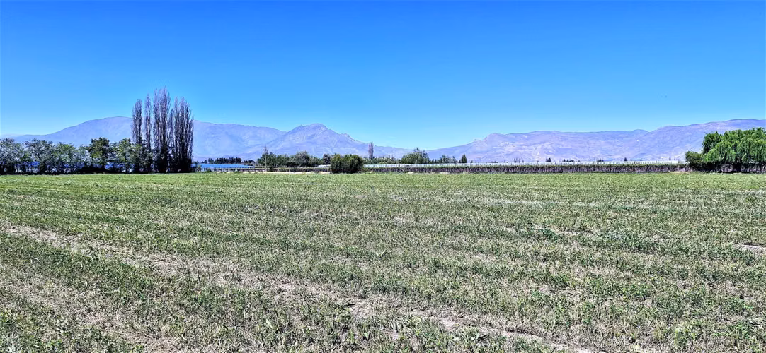 En venta parcela en San Rafael, San Felipe, 75.600 m2., en producción. 483 M$