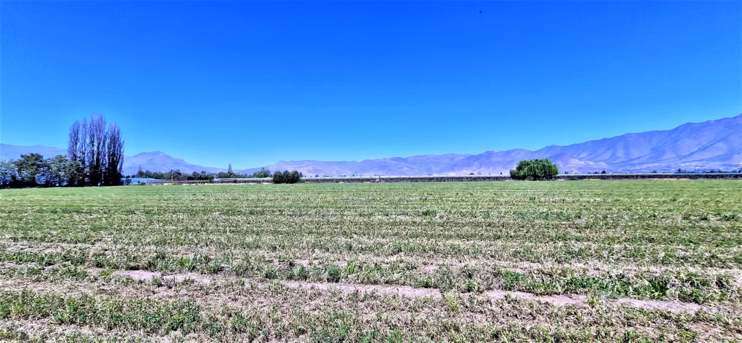 En venta parcela en San Rafael, San Felipe, 75.600 m2., en producción. 483 M$