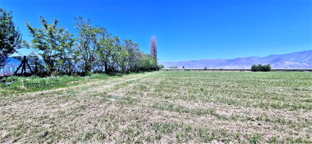En venta parcela en San Rafael, San Felipe, 75.600 m2., en producción. 483 M$