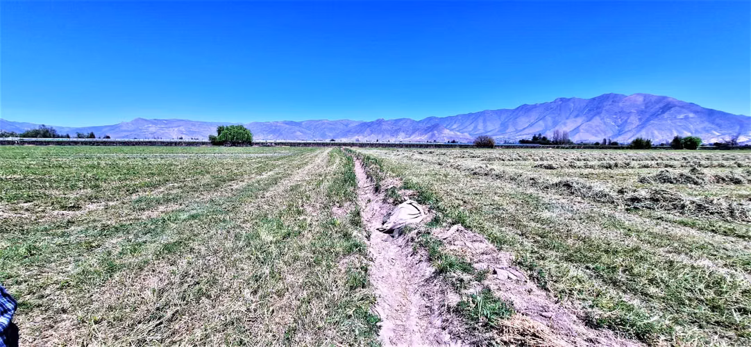 En venta parcela en San Rafael, San Felipe, 75.600 m2., en producción. 483 M$