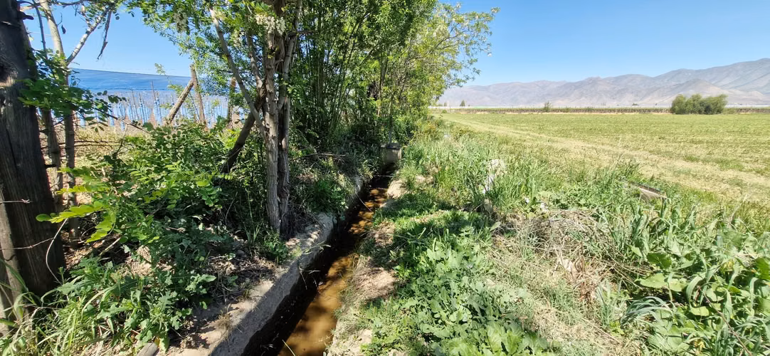 En venta parcela en San Rafael, San Felipe, 75.600 m2., en producción. 483 M$