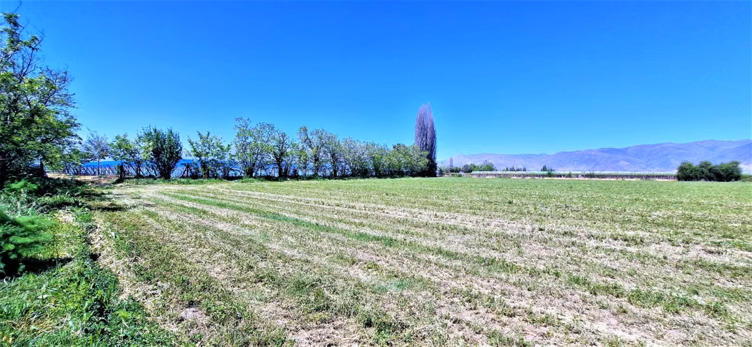 En venta parcela en San Rafael, San Felipe, 75.600 m2., en producción. 483 M$