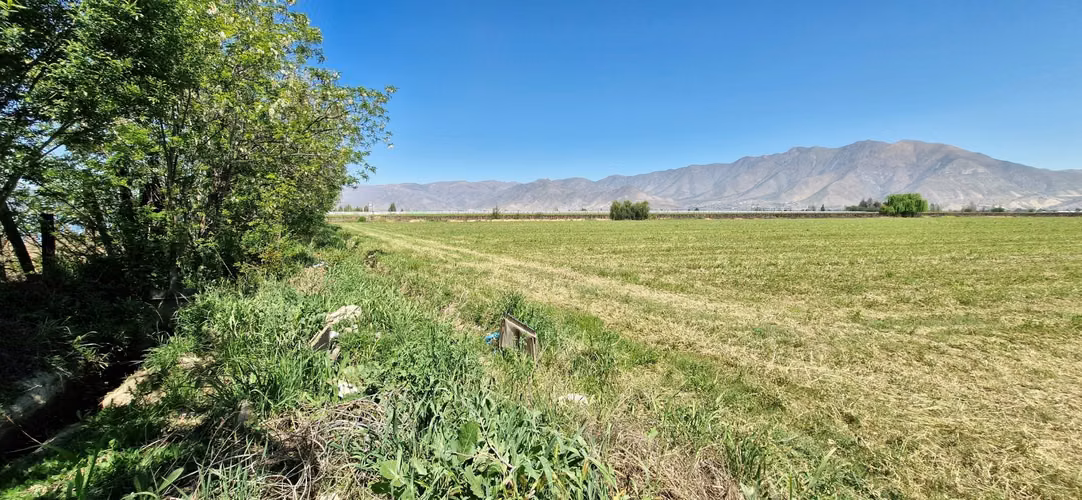 En venta parcela en San Rafael, San Felipe, 75.600 m2., en producción. 483 M$