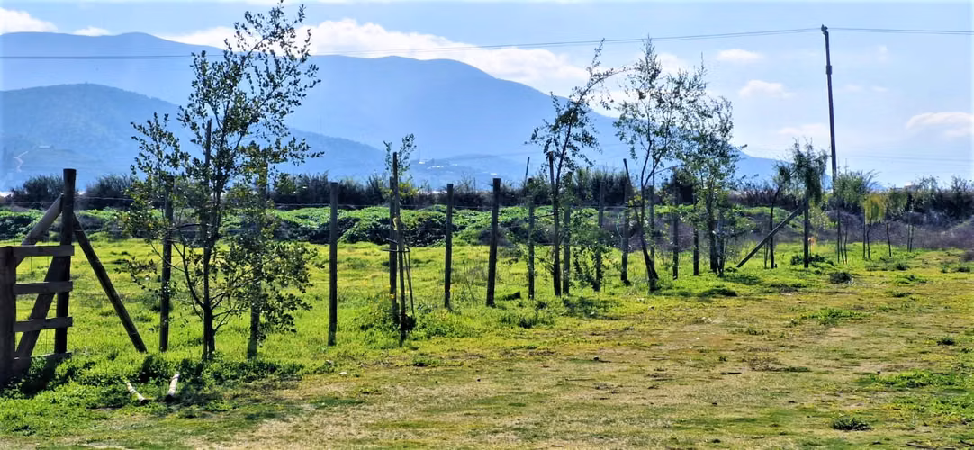 Venta de sitio de 29.375 m2., loteo dividido en 5 parcelas, con 4 canchas de Padel, en Quillota. 15.000 UF.