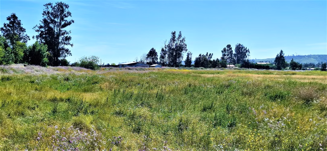Venta de sitio terreno de 7,1 hectáreas, en Tabolango, Limache. 355 M$.