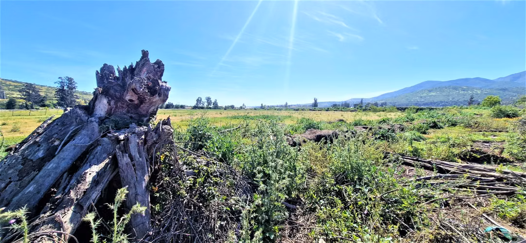 Venta de sitio terreno de 7,1 hectáreas, en Tabolango, Limache. 355 M$.