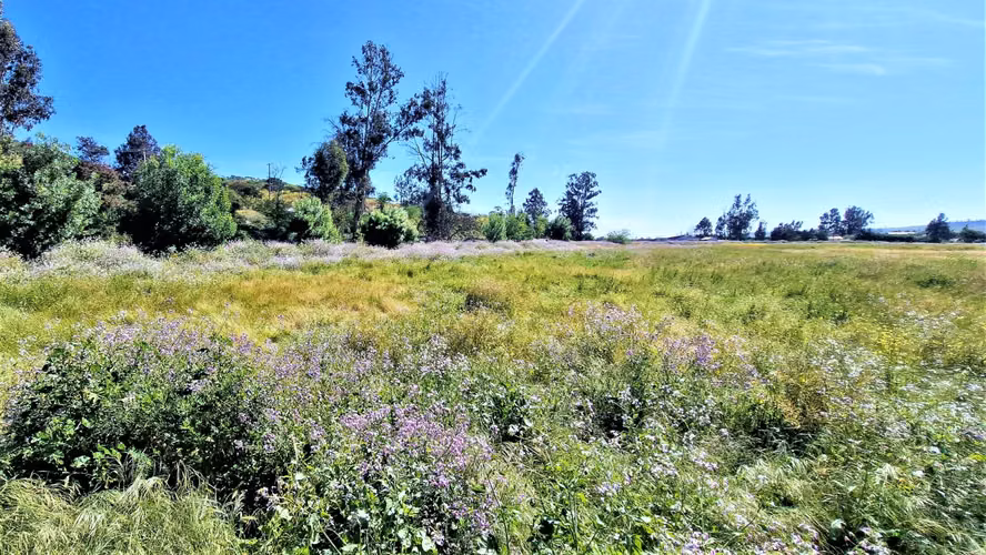 Venta de sitio terreno de 7,1 hectáreas, en Tabolango, Limache. 355 M$.