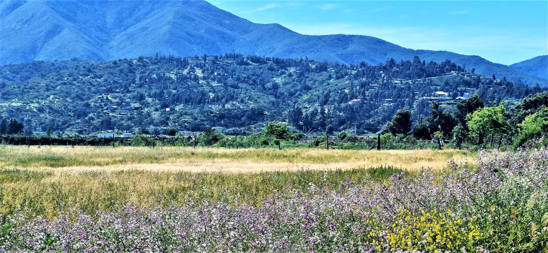 Venta de sitio terreno de 7,1 hectáreas, en Tabolango, Limache. 355 M$.