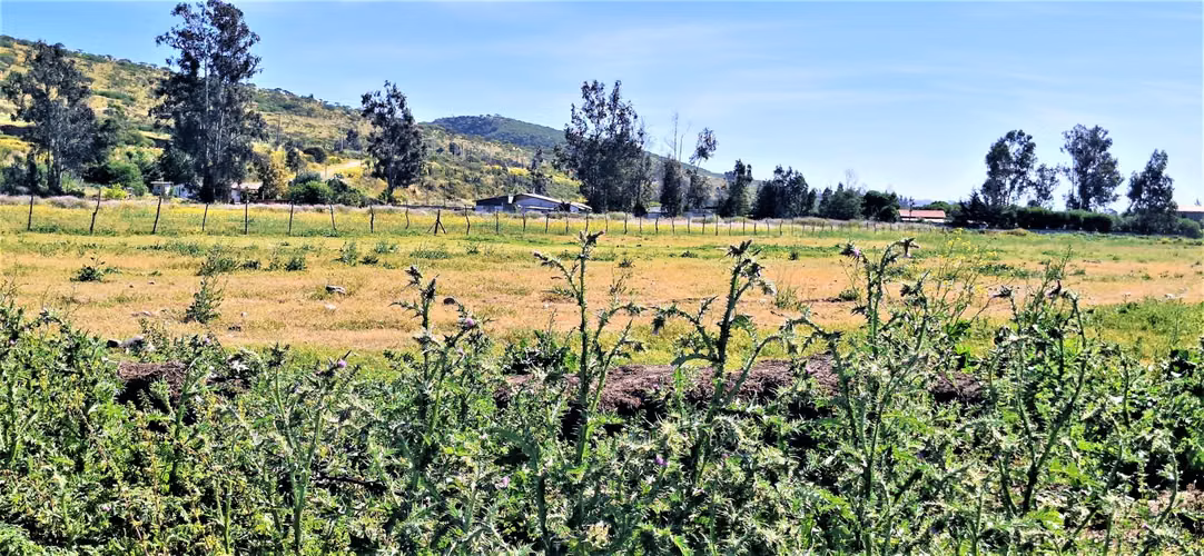 Venta de sitio terreno de 7,1 hectáreas, en Tabolango, Limache. 355 M$.