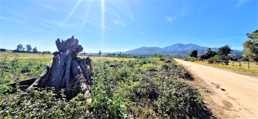 Venta de sitio terreno de 7,1 hectáreas, en Tabolango, Limache. 355 M$.