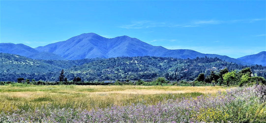 Venta de sitio terreno de 7,1 hectáreas, en Tabolango, Limache. 355 M$.