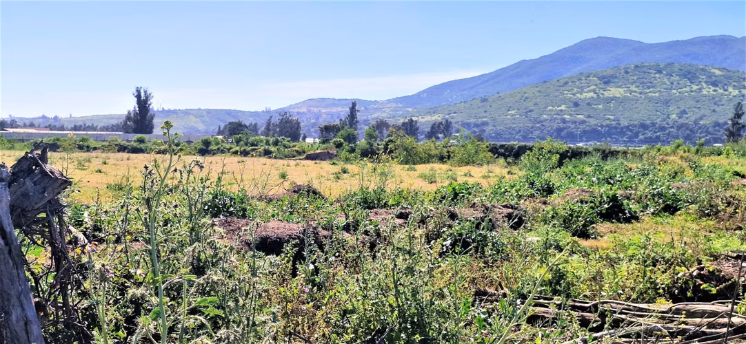 Venta de sitio terreno de 7,1 hectáreas, en Tabolango, Limache. 355 M$.
