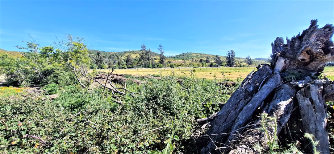 Venta de sitio terreno de 7,1 hectáreas, en Tabolango, Limache. 355 M$.