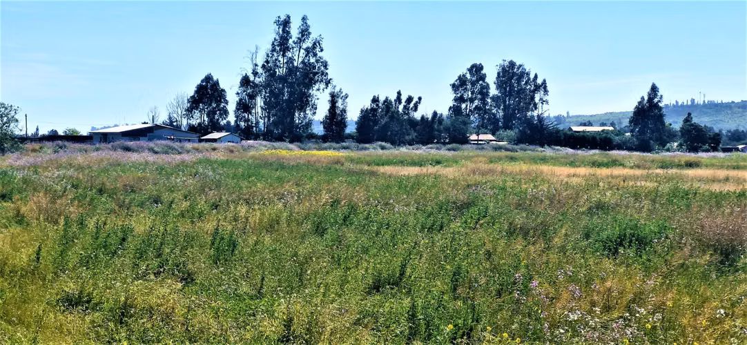 Venta de sitio terreno de 7,1 hectáreas, en Tabolango, Limache. 355 M$.