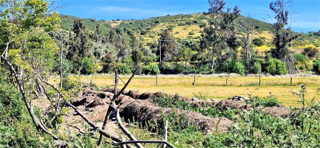Venta de sitio terreno de 7,1 hectáreas, en Tabolango, Limache. 355 M$.