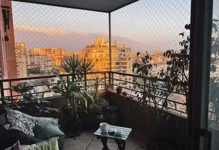 Bello departamento  (179848)