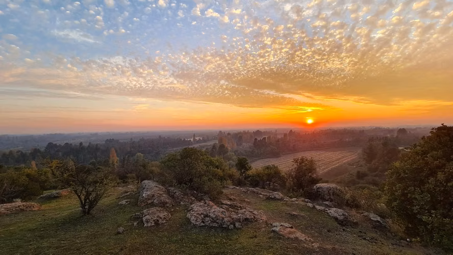 Se Vende Terreno en Cerro Maitenes, Queri – San Clemente - Imagen 15