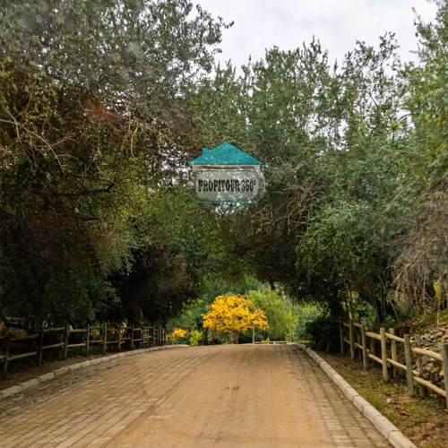 TERRENO EXCLUSIVO EN CONDOMINIO ALTOS DE OLMUÉ