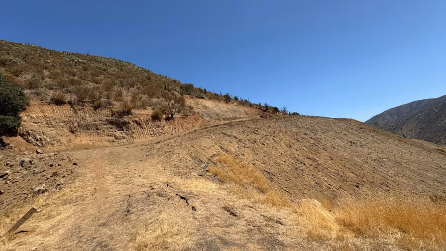 VENTA PARCELA 10000MTS Curacaví