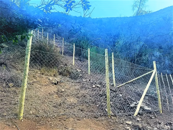 Venta de 2 terrenos con bosque nativo de 4.000/4200 m2., en Quebrada Alvarado. 1.100 UF