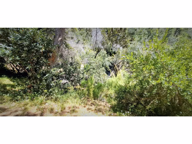 Venta de 2 terrenos con bosque nativo de 4.000/4200 m2., en Quebrada Alvarado. 1.100 UF