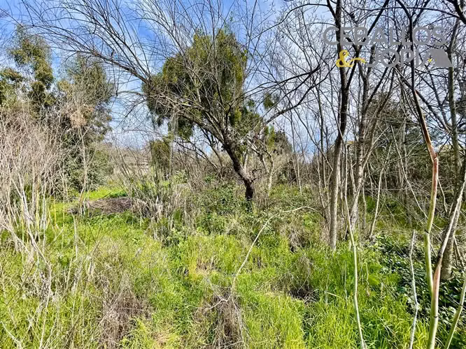 Sitio en venta en Quilpué - Imagen 31