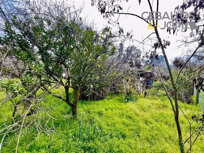 Sitio en venta en Quilpué - Imagen 28