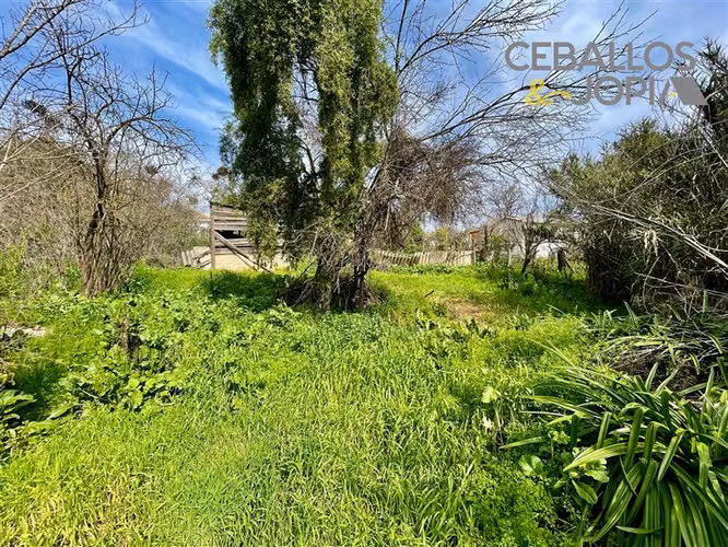 Sitio en venta en Quilpué - Imagen 27