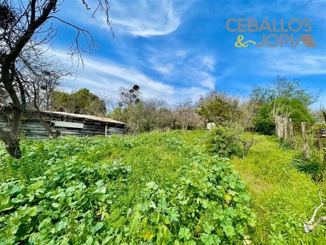 Sitio en venta en Quilpué - Imagen 8