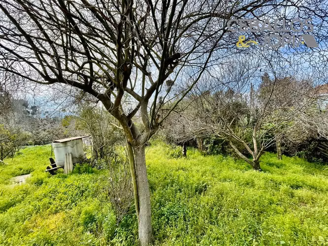 Sitio en venta en Quilpué - Imagen 7