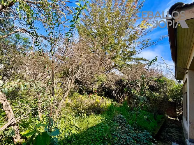 Sitio en venta en Quilpué - Imagen 24