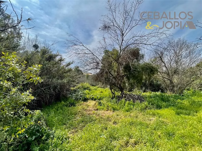 Sitio en venta en Quilpué - Imagen 32