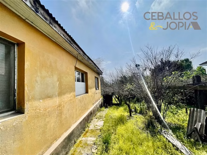 Sitio en venta en Quilpué - Imagen 3
