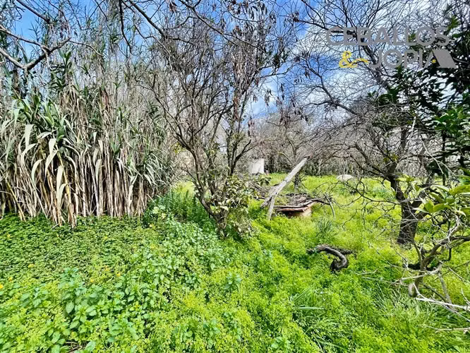 Sitio en venta en Quilpué - Imagen 29