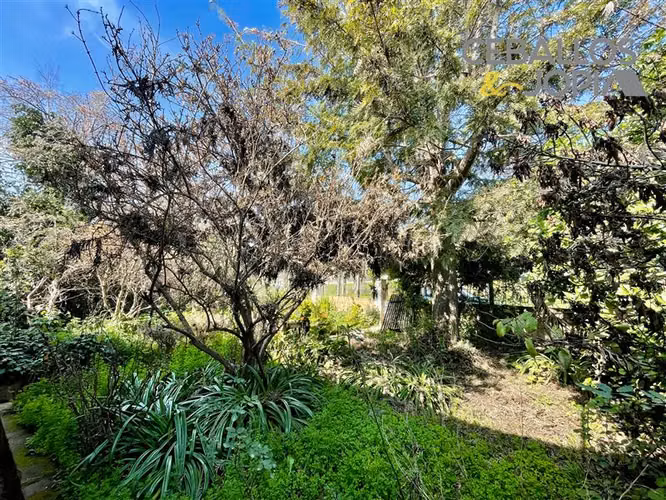 Sitio en venta en Quilpué - Imagen 26