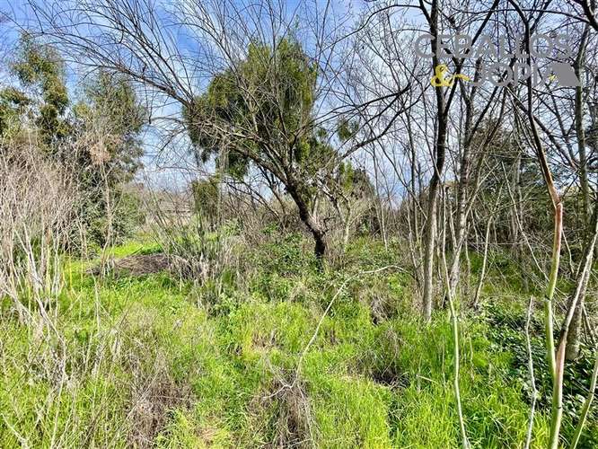 Casa en venta de 3 dorm. en Quilpué - Imagen 31