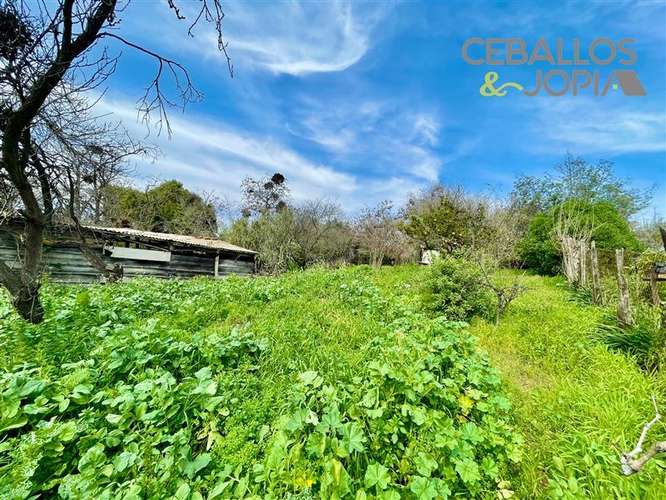 Casa en venta de 3 dorm. en Quilpué - Imagen 8