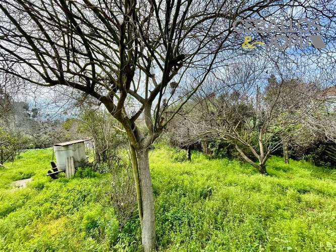 Casa en venta de 3 dorm. en Quilpué - Imagen 7