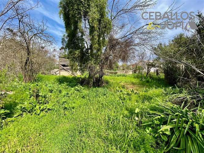 Casa en venta de 3 dorm. en Quilpué - Imagen 27