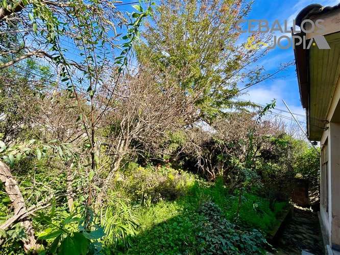 Casa en venta de 3 dorm. en Quilpué - Imagen 24