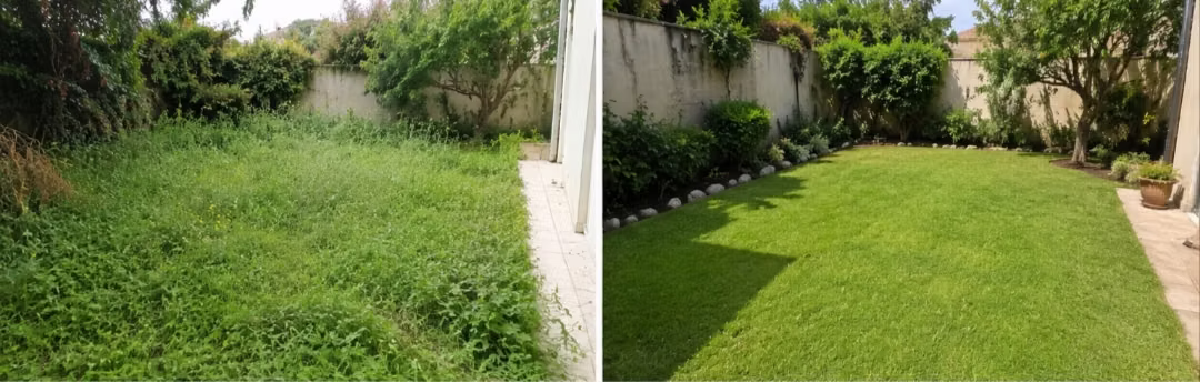 Mantención, construcción y renovación de jardines | Áreas Verdes